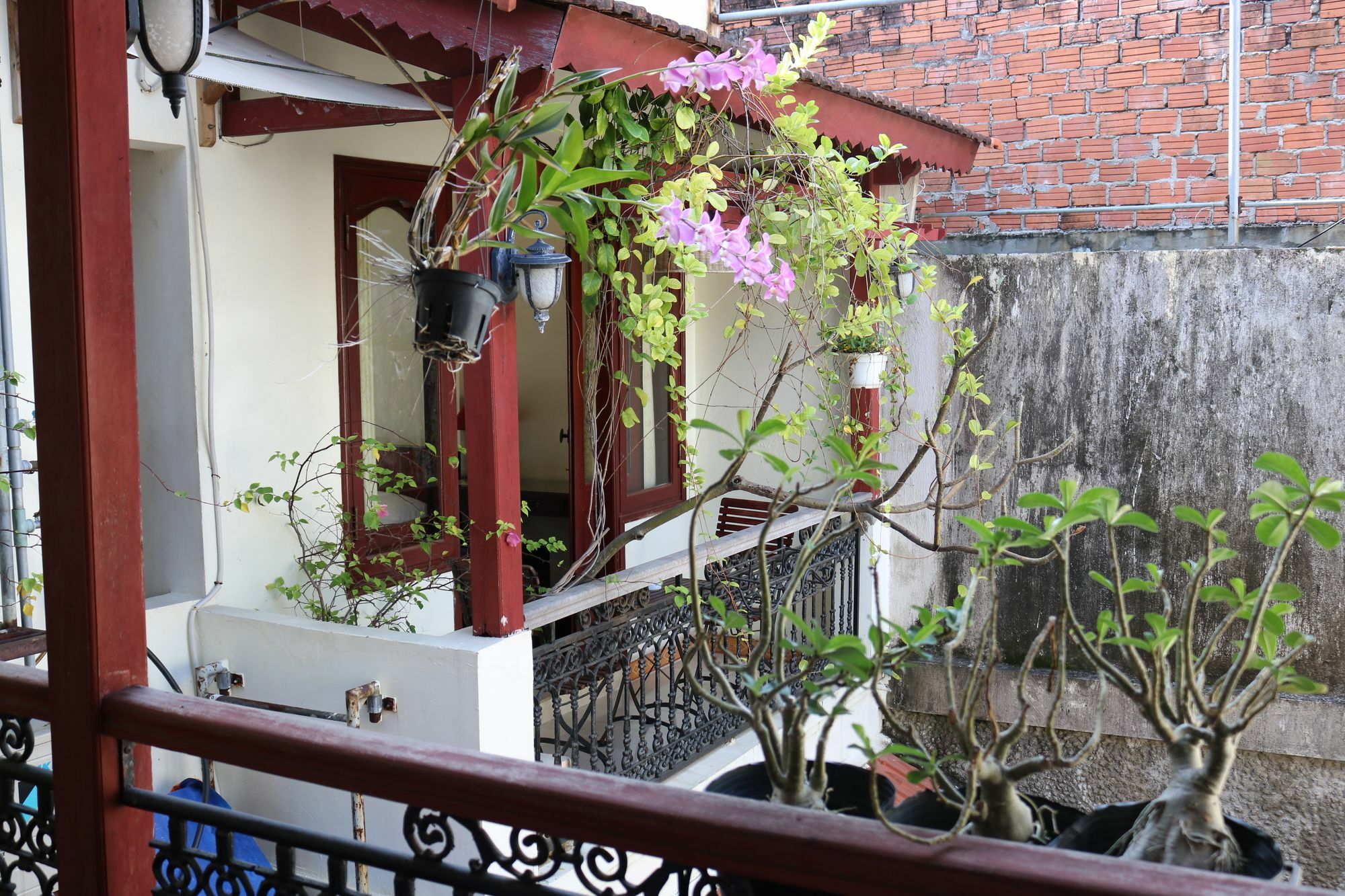 Nhi Trung Hotel هوي ان المظهر الخارجي الصورة